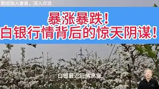 实物挤兑潮席卷全球！白银64美元狂欢下，纸面体系已岌岌可危！白银市场再演疯狂逼仓，这次谁会成为下一个亨特家族？