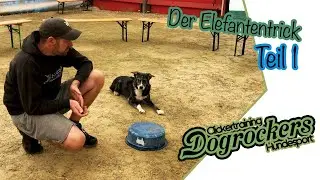 Der Elefantentrick - Dem Hund Fuß laufen beibringen. [Teil 1]