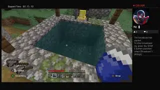 Playing Minecraft!!!