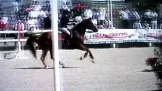 Epichine van het Oude Hof à la finale du Championnat de Belgique.