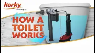 How a Toilet Works - Anatomy of a Toilet OLD VERSION