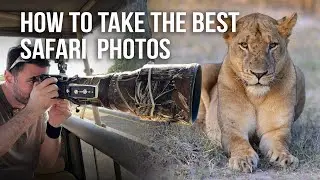 How To Take The Best Photos On Safari