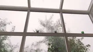 The last 6 minutes of a heavy rain storm