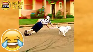 Cachorro x Humano! 😂 Vídeos Engraçados 2024