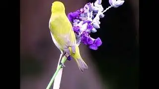 ЗА ЧАС ДО БУДУЩЕЙ ВЕСНЫ