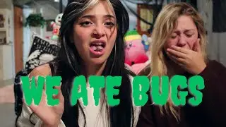 Bug SNACKS?!?!