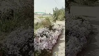 ❤💕💖Всем прекрасного настроения . Будьте здоровы.
