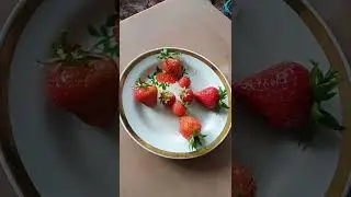 24.06.2022.