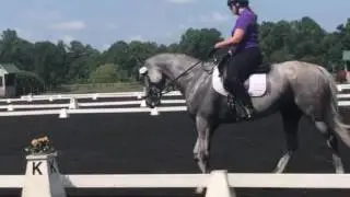 Halliea and Star