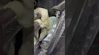 Великолепное состояние фар Citroen C4 