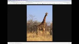 Tips for finding better quality images on the internet.
