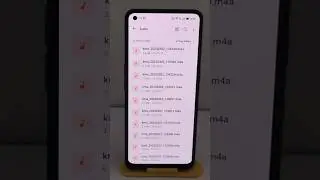 voice recorder data delete any mobile | 