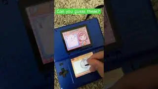 Can you correctly guess these Nintendo DS games?