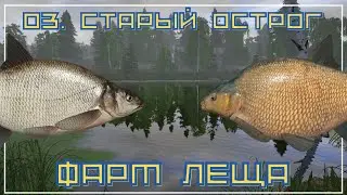 Фарм леща на оз. Старый Острог - РР4┃maXS1k