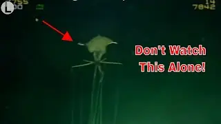10 Unbelievably Creepy Encounters Caught on Underwater Cameras