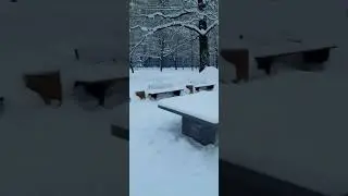 Разрушение парков "ремонтом".
