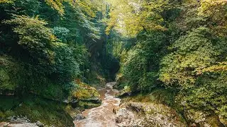 Urbex and Nature in Georgia