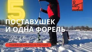 ПОСТАВИЛ ПЯТЬ ПОСТАВУШЕК / ХОТЕЛ НАЛОВИТЬ МНОГО РЫБЫ / СРАБОТАЛА ТОЛЬКО ОДНА