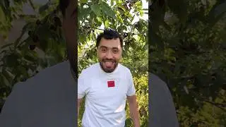 Натарс 😅😅😅