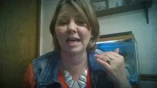 Practicing Transitions from One Home to Another with Sonja Redden, Tranquil Parenting Coach