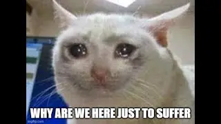 heyo, im back, in pain, and with a new game... Overwatch 2!