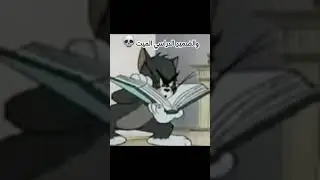 11 août 2024