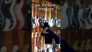 Bass insanity
