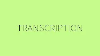 Hindenburg PRO, Version 2 - Transcription