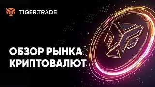 Обзор криптовалют: BTC, BCH, ETH, SOL, XRP, ADA с Сергеем Морозовым — Tiger.Trade