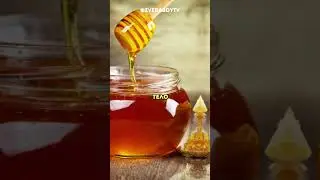 Исторические факты. #37 
