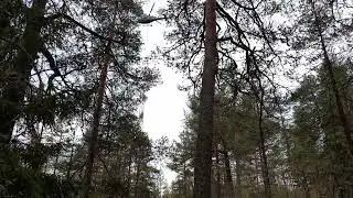 Söderkullassa mastoa pystyyn 18.10.2022