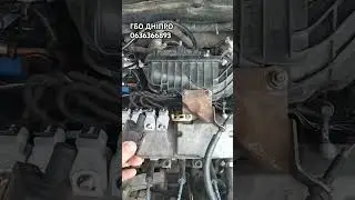 Таня допоможи