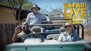 safariLIVE Experience: Alan & Betty!