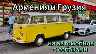 В Грузию и Армению на автомобиле с собаками (часть 1)