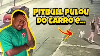 O pitbull pulou do carro e atacou!