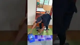 Domino's Effect