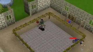 Dragon mace maxing
