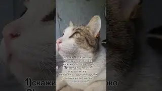 6 октября 2024 г.