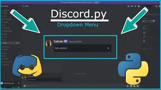 Discord.py Dropdown Menü