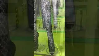 Exploring Legwear Production: From Threads to Trendy Leggings