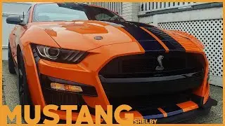 2020 Ford Mustang Shelby GT500 Most Powerful Super Snake Mustang Shelby Ever Built