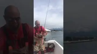 Луфарь и я. Рыбалка в Сочи. #fishing #fish #рыба #море #fishingvideo #рыбалка
