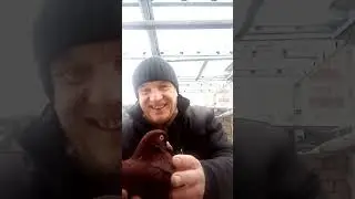 очевидное невероятное
