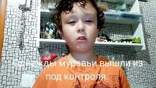 Хоррор про муравьёв.😱   Лунтик. Финальная серия мультфильма. 😢