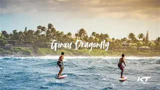 Ginxu Dragonfly