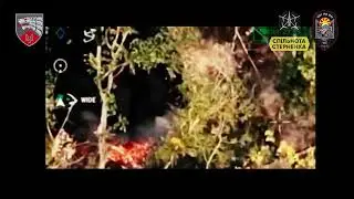 Оператори ССО знищили польовий склад БК на Курщині