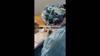 Реоперация малинуа. Порезал лапу о профнастил