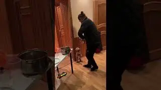 ТИГИЕВ ТАНЦУЕТ С СОБАКОЙ 
