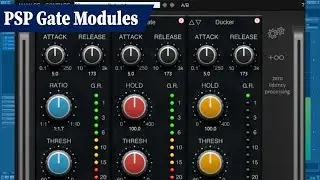 PSP InfiniStrip Plugin - Gate Modules