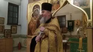 Проповедь о.Геннадия 31.12.12 Весь мир придаётся веселью, но не уподобляйтесь миру и не осуждайте!